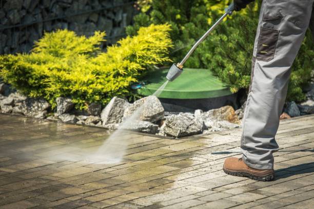 Best Fence Cleaning  in Sandy Oaks, TX