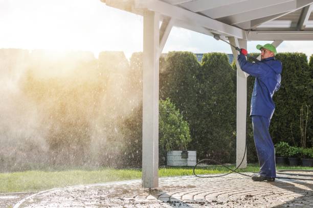 Best House Exterior Washing  in Sandy Oaks, TX